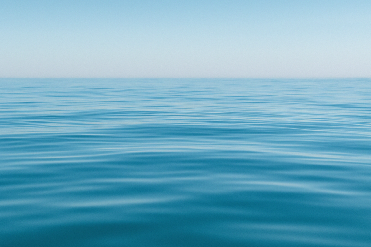 Sea-banner-(1)