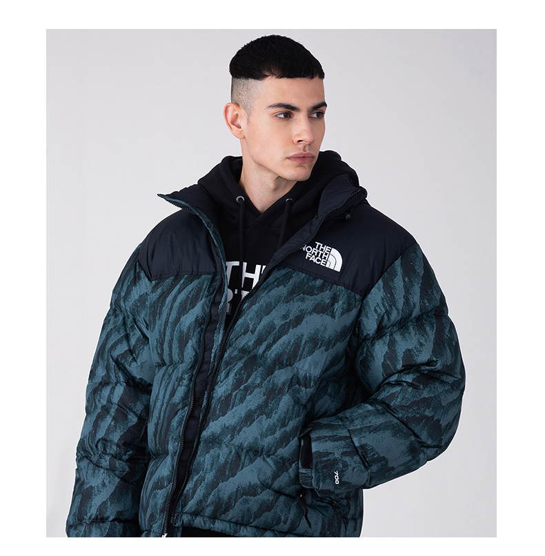 TheNorthFace North 1996 North Faceダウン|5IX4