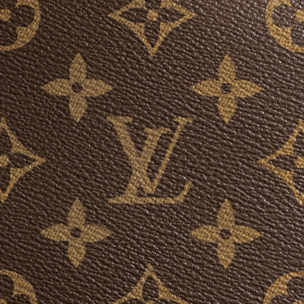 LV スラウチ PM モノグラム ハンドバッグ