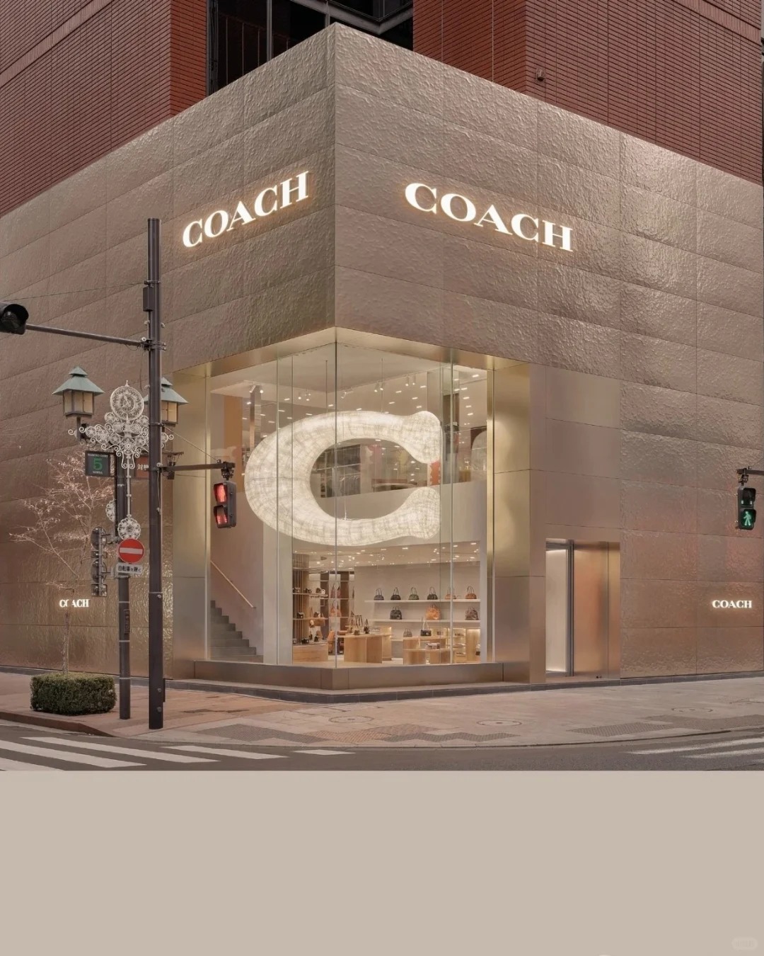coach bags