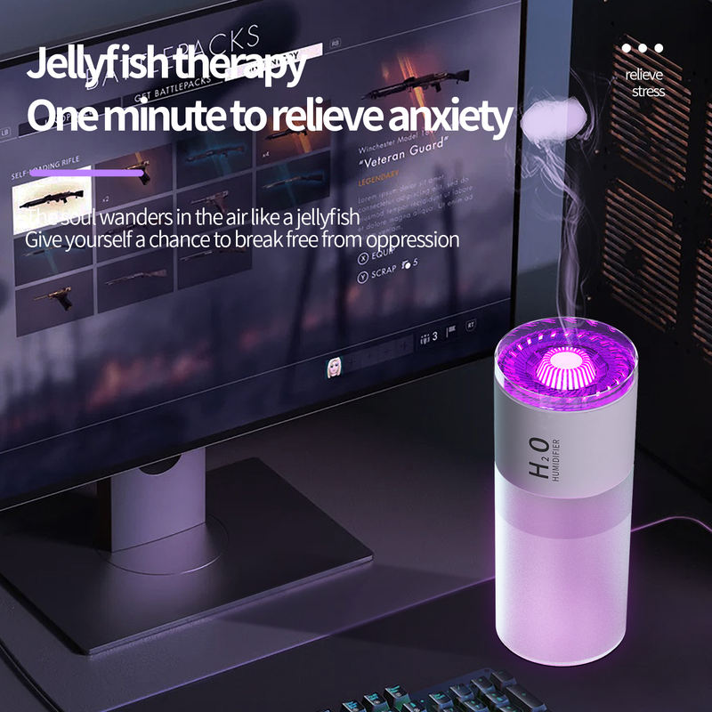 Model V6B Humidifier Manufacturer, 500ml Desktop Humidifier with Fine Mist, No-Wet Table Design
