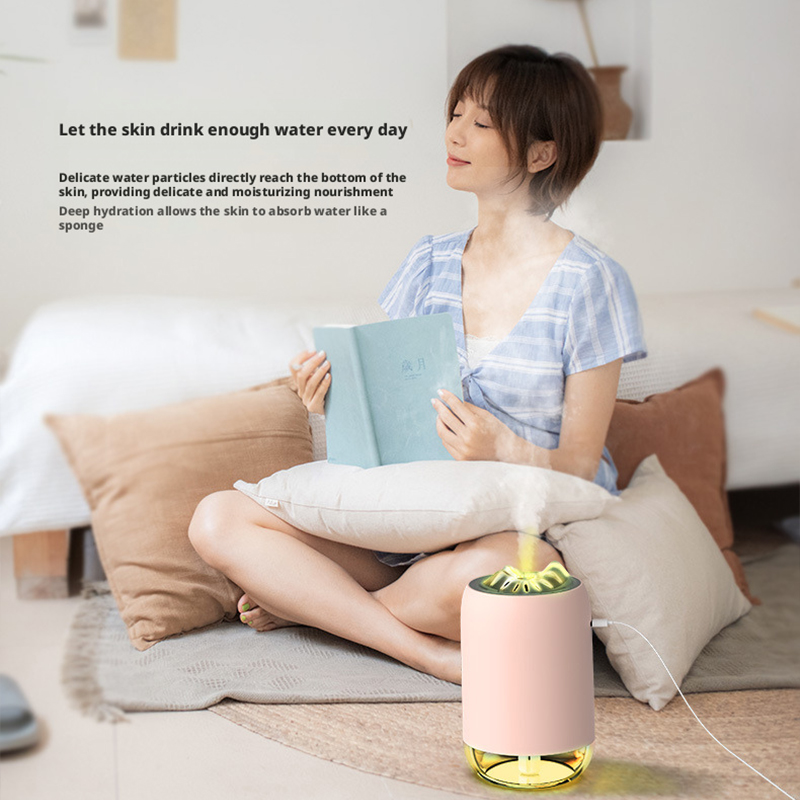 Model 902 Mountain Design Humidifier Manufacturer, 260ml Portable Cool Mist Humidifier with LED Light