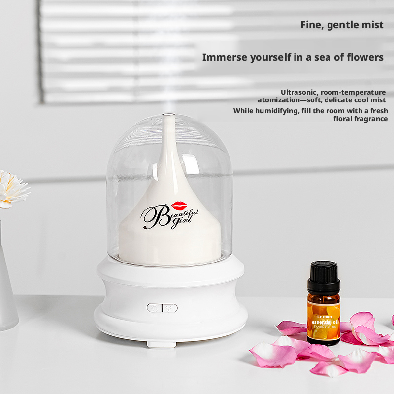 LA-0608 Aroma Humidifier, OEM/ODM Supported, 2-in-1 Humidifier & Mood Lamp