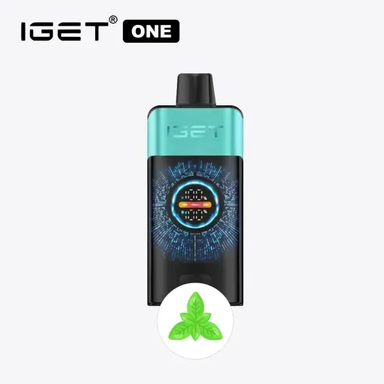 [Around 20 days delivery]Mountain Spring Mint Ice IGET ONE