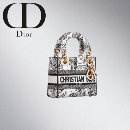DIOR★LADY D-LITE Plan de Paris バッグ ミニ★関税込み