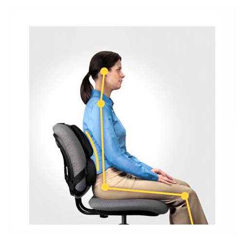 Fellowes Professional Backsupport with Microban®