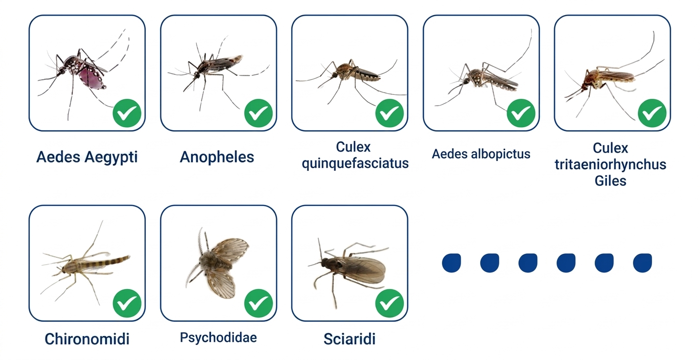 Product details image