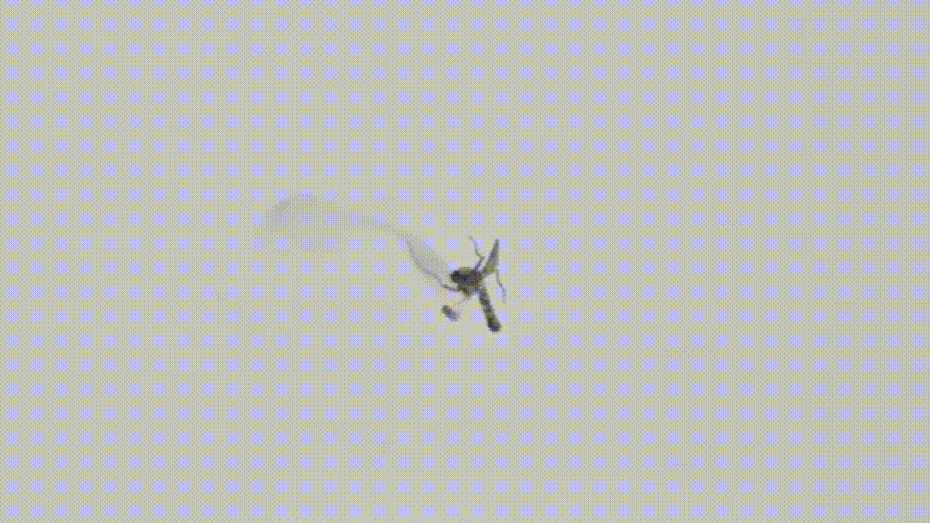 Product details image