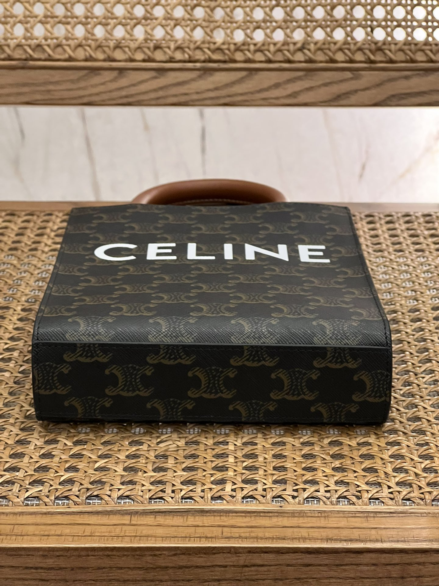CELINE Mini Vertical Cabas IN Triomphe Canvas with Celine print（194372BZK-04LU）