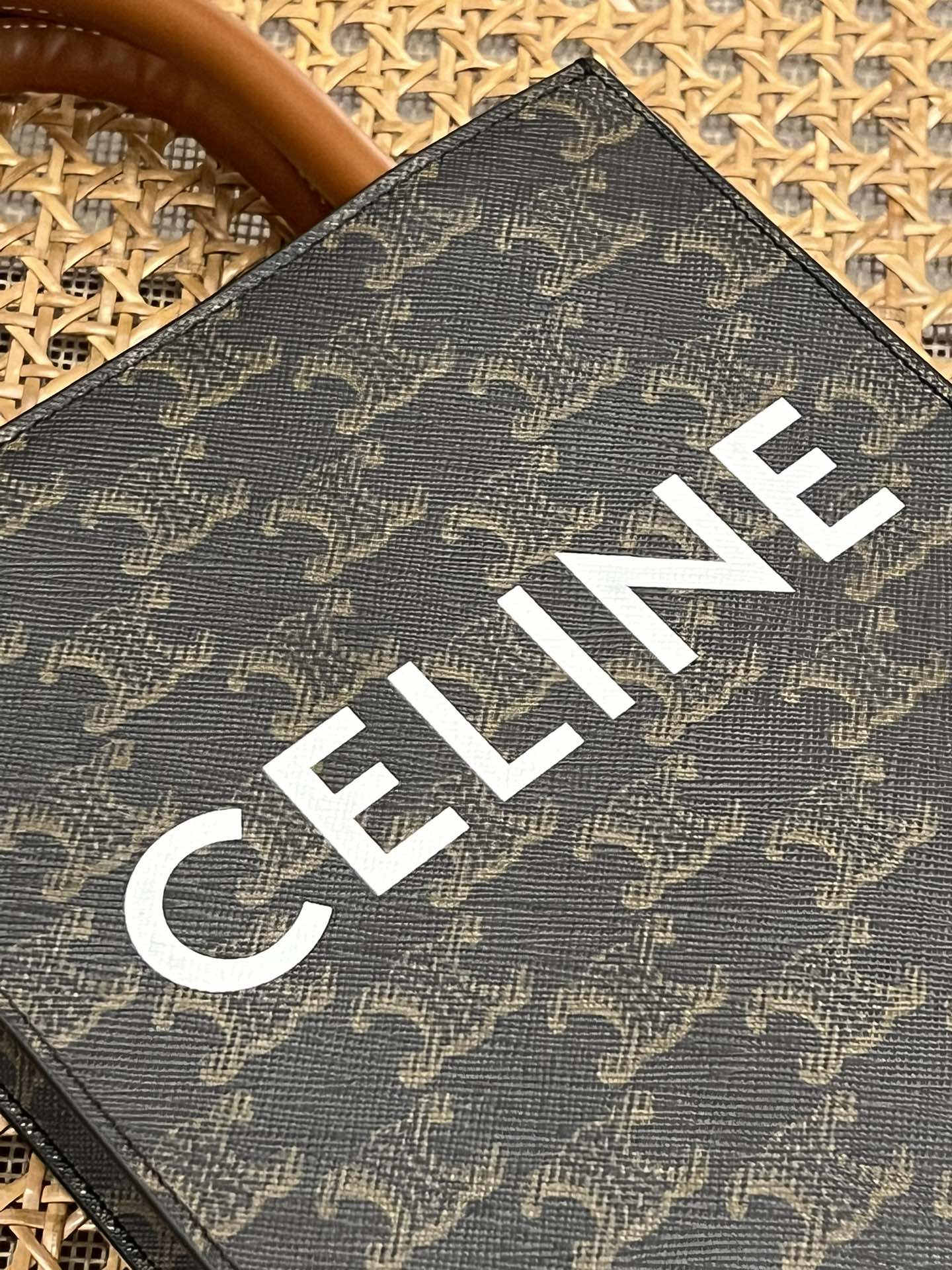 CELINE Mini Vertical Cabas IN Triomphe Canvas with Celine print（194372BZK-04LU）