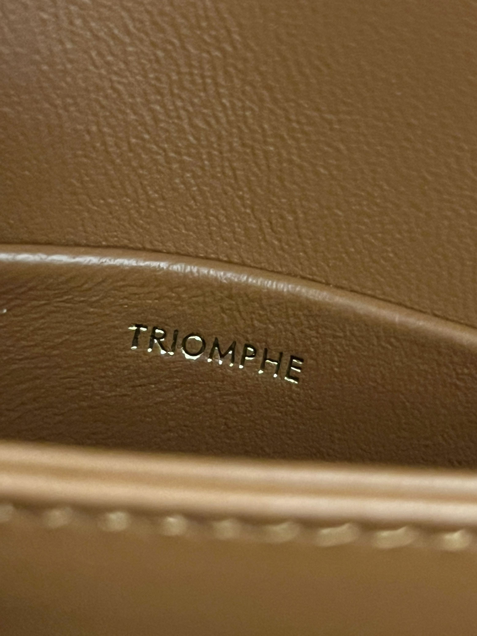 CELINE MINI BESACE CLEA in Triomphe canvas and calfskin （10K502EWU.04LU）