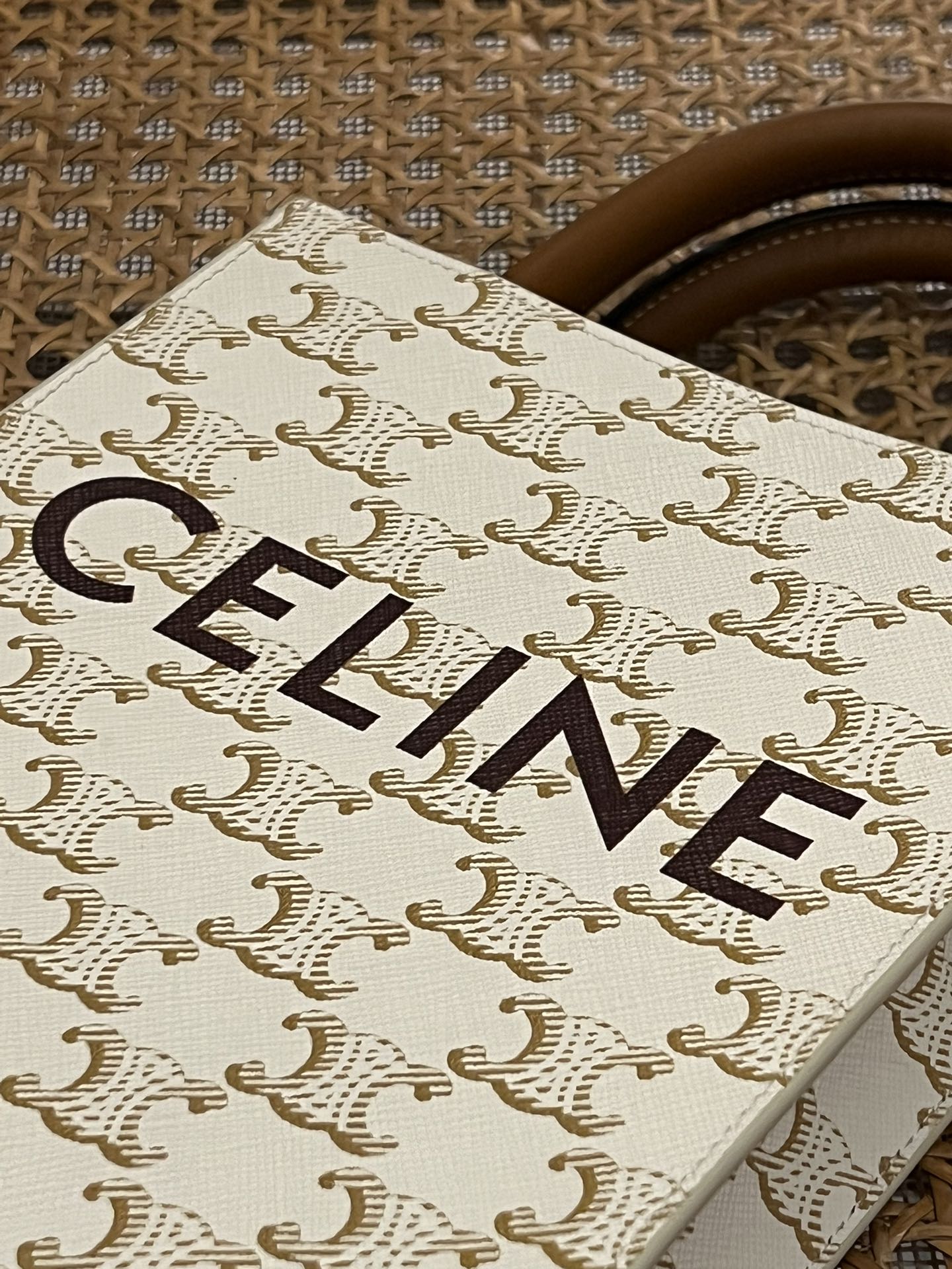 【N】CELINE Mini Vertical Cabas IN Triomphe Canvas with Celine print（194372BZK-04LU）