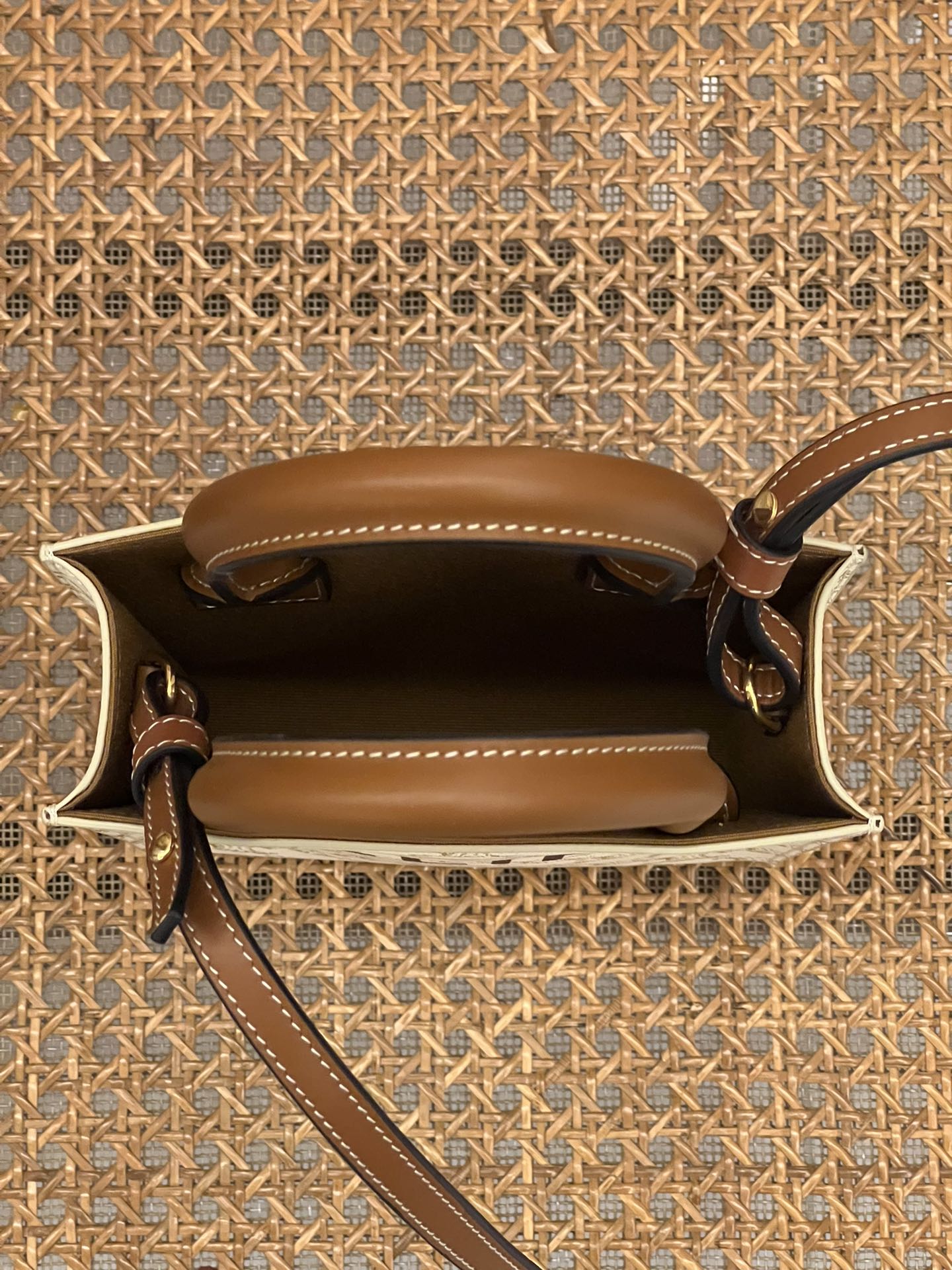 【N】CELINE Mini Vertical Cabas IN Triomphe Canvas with Celine print（194372BZK-04LU）