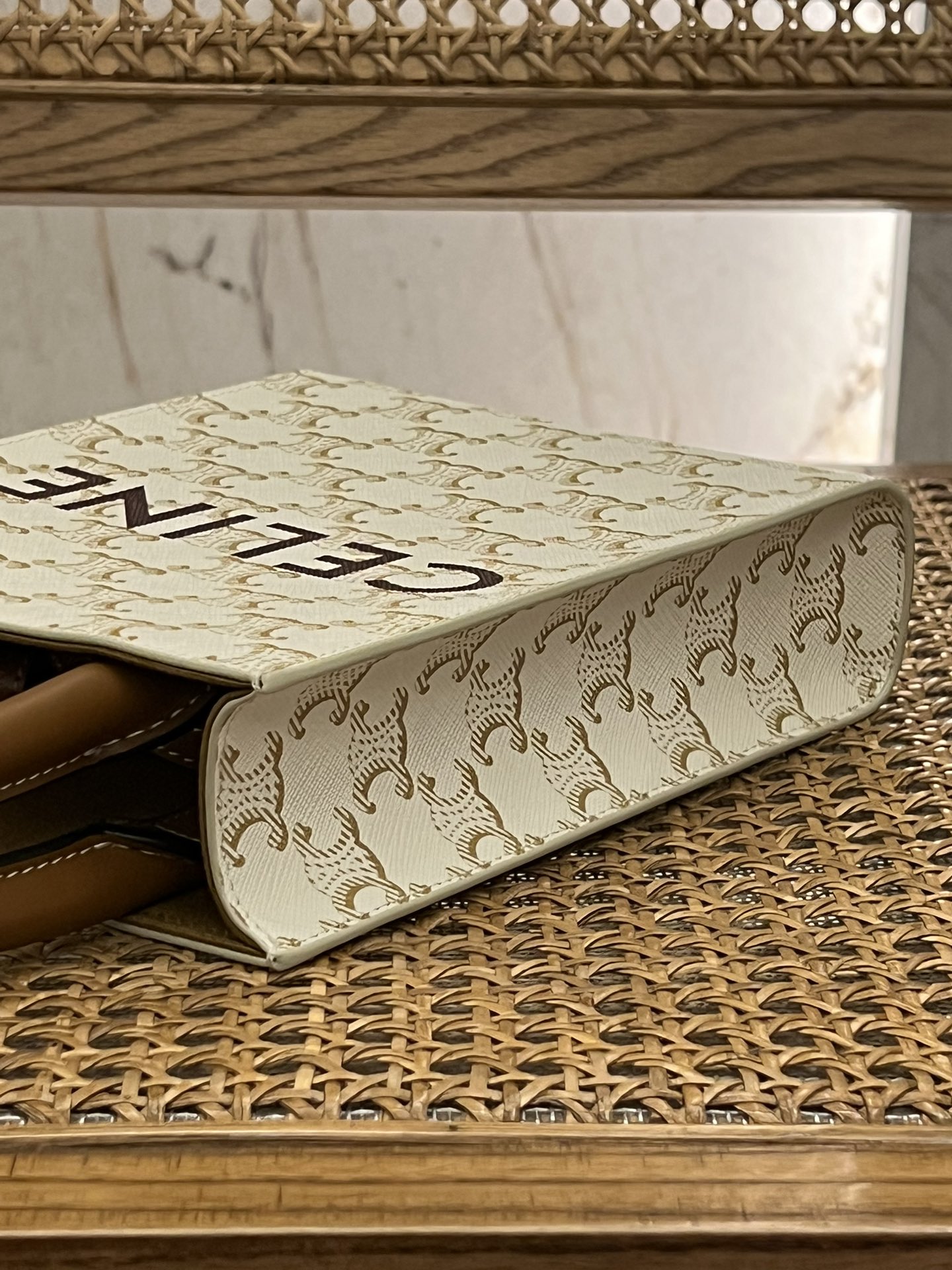 【N】CELINE Mini Vertical Cabas IN Triomphe Canvas with Celine print（194372BZK-04LU）