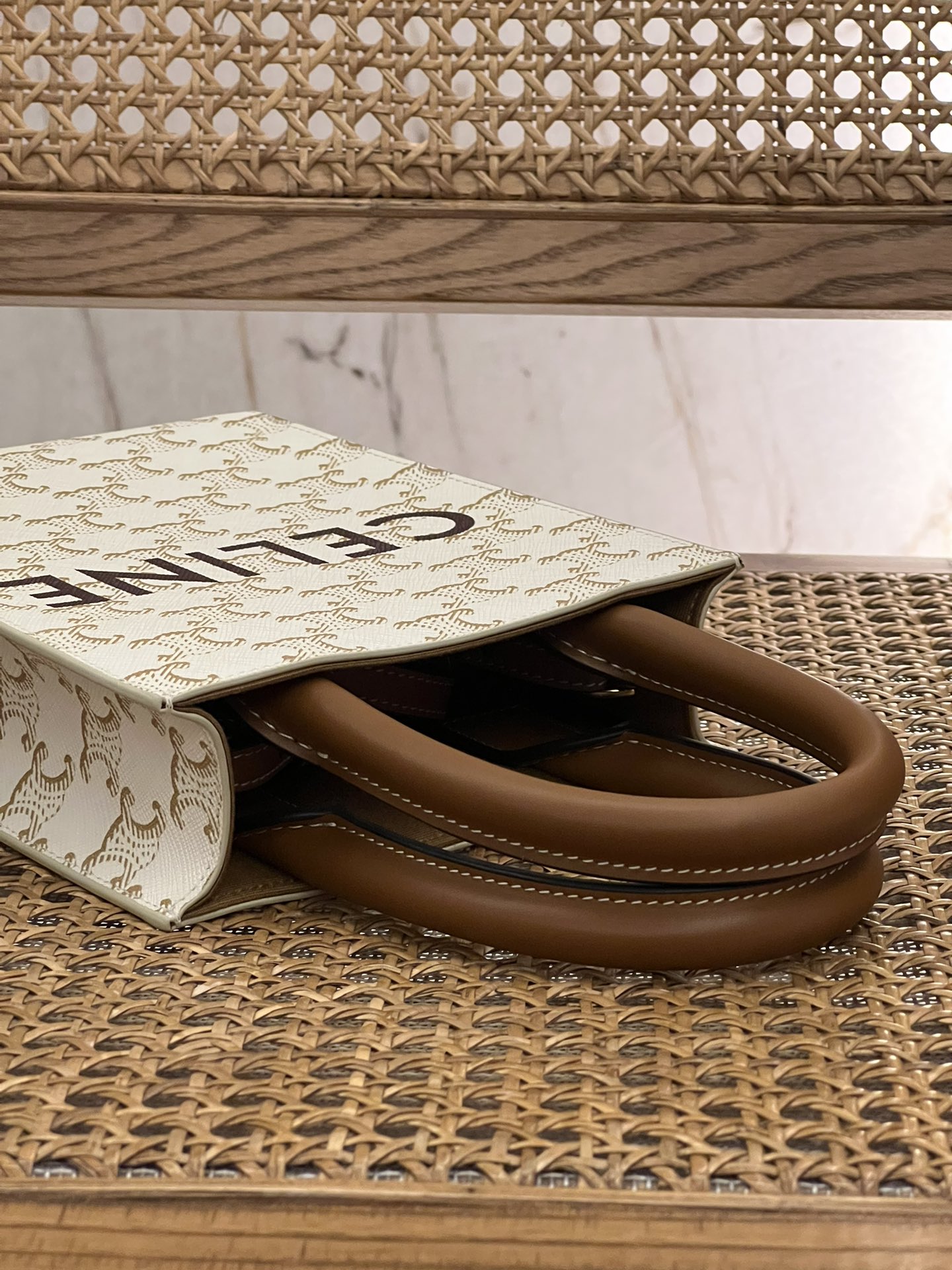 【N】CELINE Mini Vertical Cabas IN Triomphe Canvas with Celine print（194372BZK-04LU）