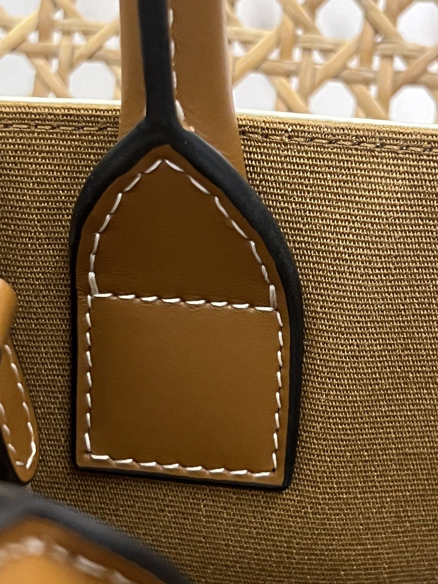 【N】CELINE Mini Vertical Cabas IN Triomphe Canvas with Celine print（194372BZK-04LU）