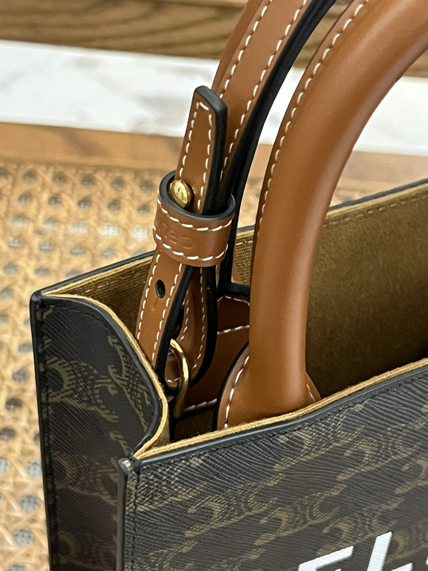 CELINE Mini Vertical Cabas IN Triomphe Canvas with Celine print（194372BZK-04LU）