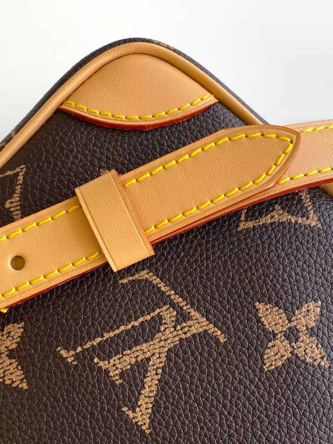 Louis Vuitton Monogram Amazon Shoulder Bag （M14014）