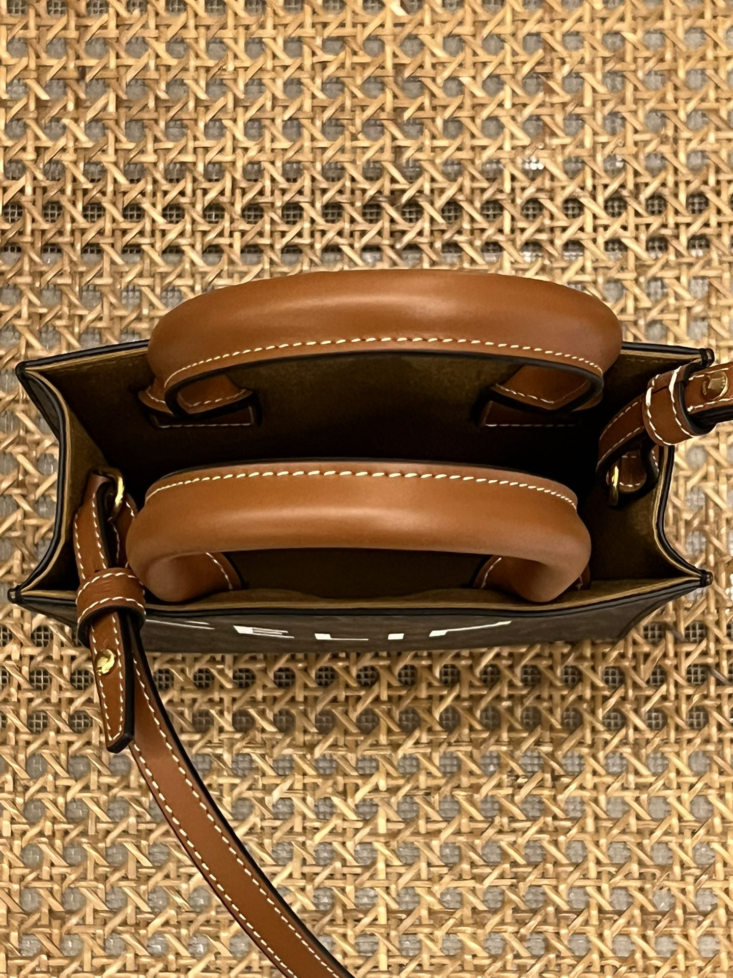 CELINE Mini Vertical Cabas IN Triomphe Canvas with Celine print（194372BZK-04LU）
