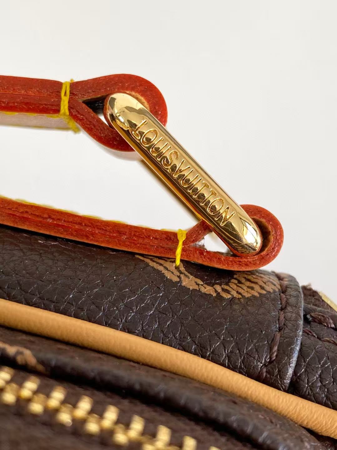 Louis Vuitton Monogram Amazon Shoulder Bag （M14014）