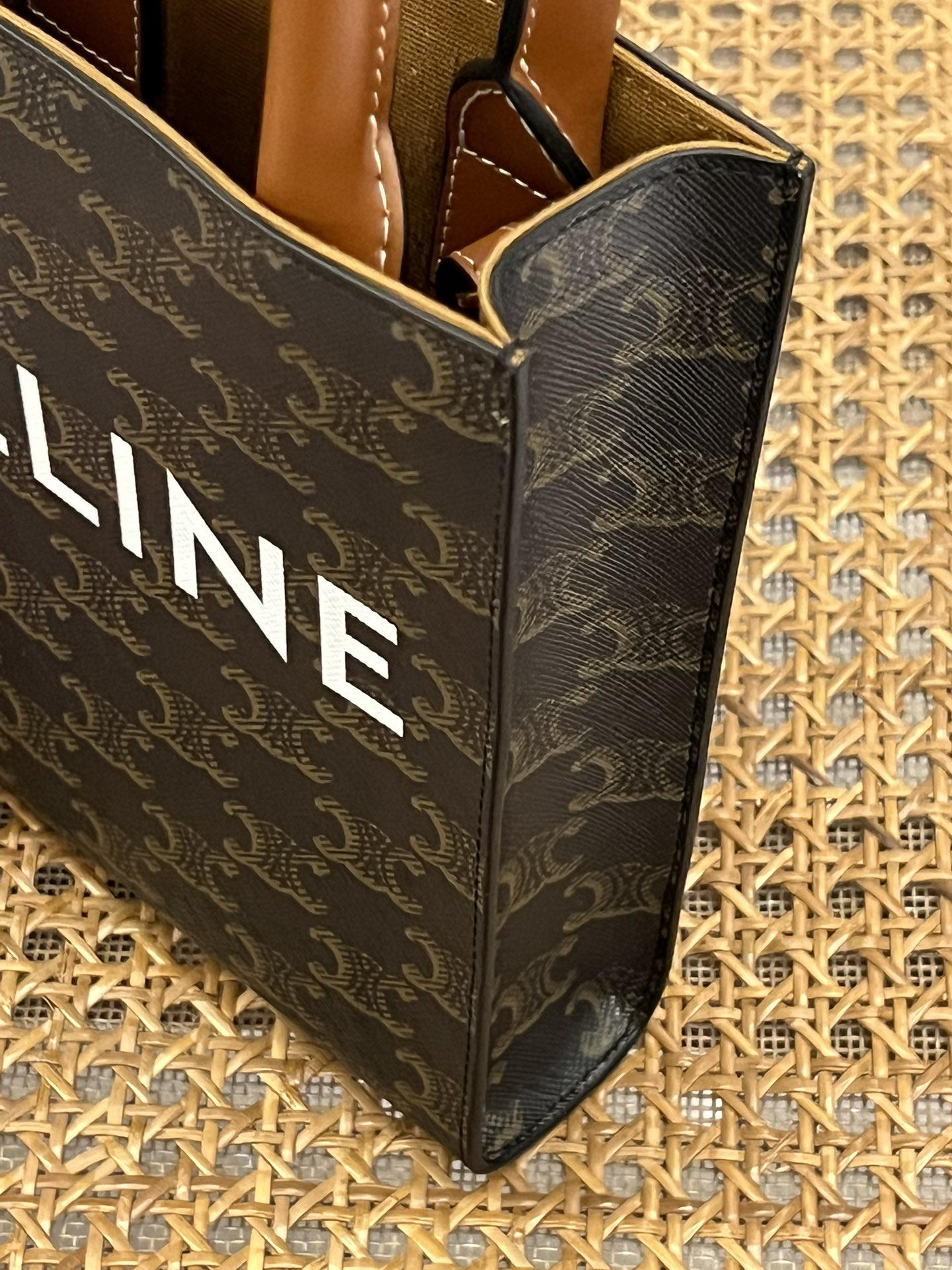 CELINE Mini Vertical Cabas IN Triomphe Canvas with Celine print（194372BZK-04LU）