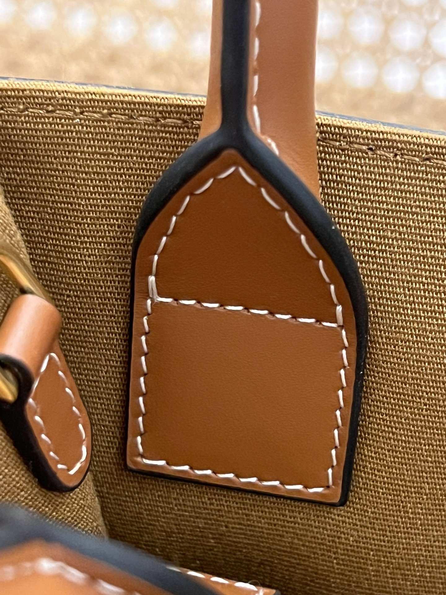 CELINE Mini Vertical Cabas IN Triomphe Canvas with Celine print（194372BZK-04LU）