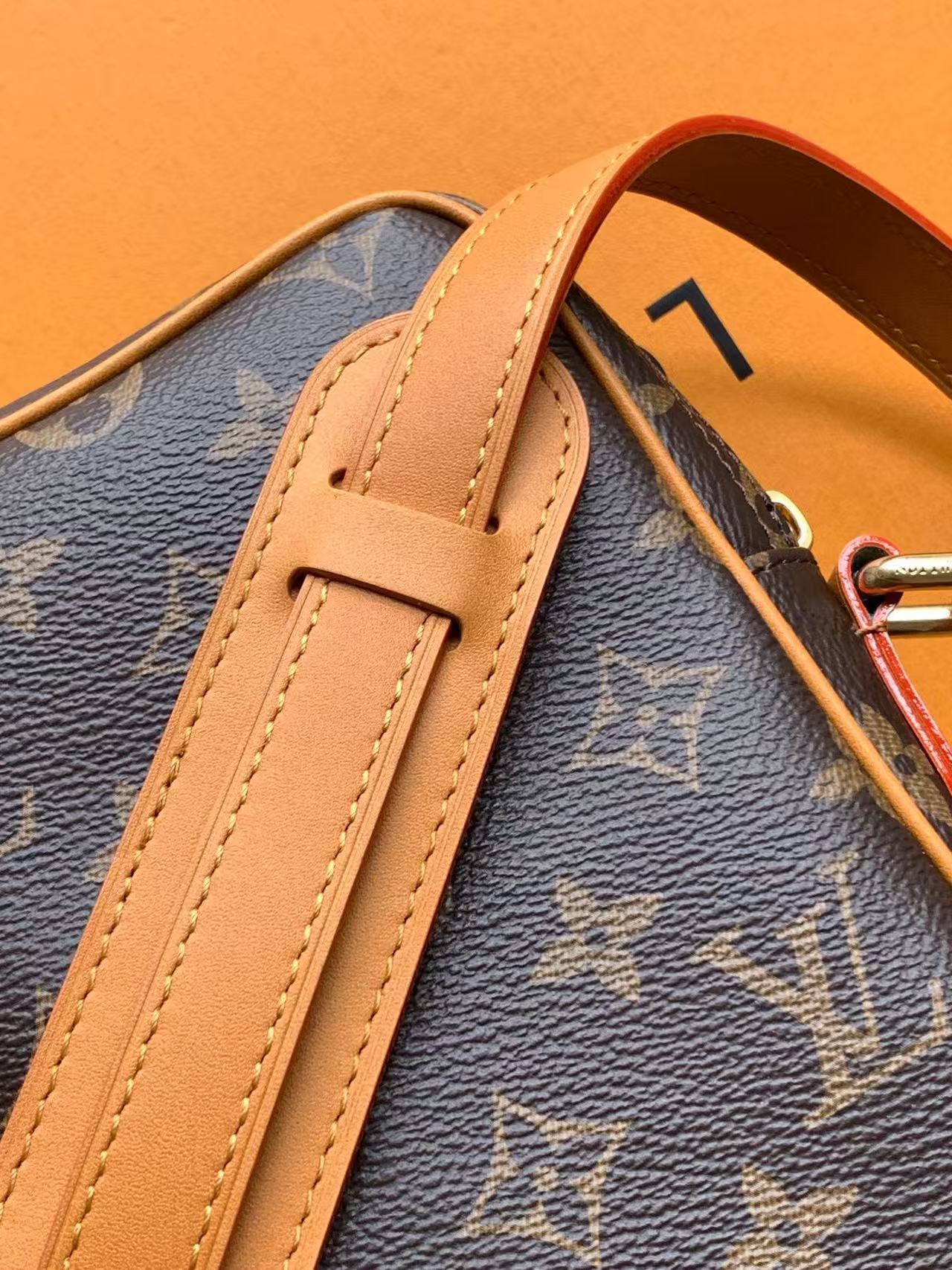 Louis Vuitton Amazon Monogram Archive（M14014）