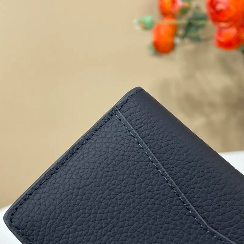 Louis Vuitton Organizer de Poche LV Aerogram (M81730)