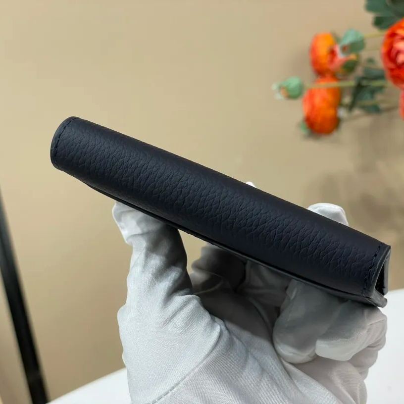 Louis Vuitton Organizer de Poche LV Aerogram (M81730)