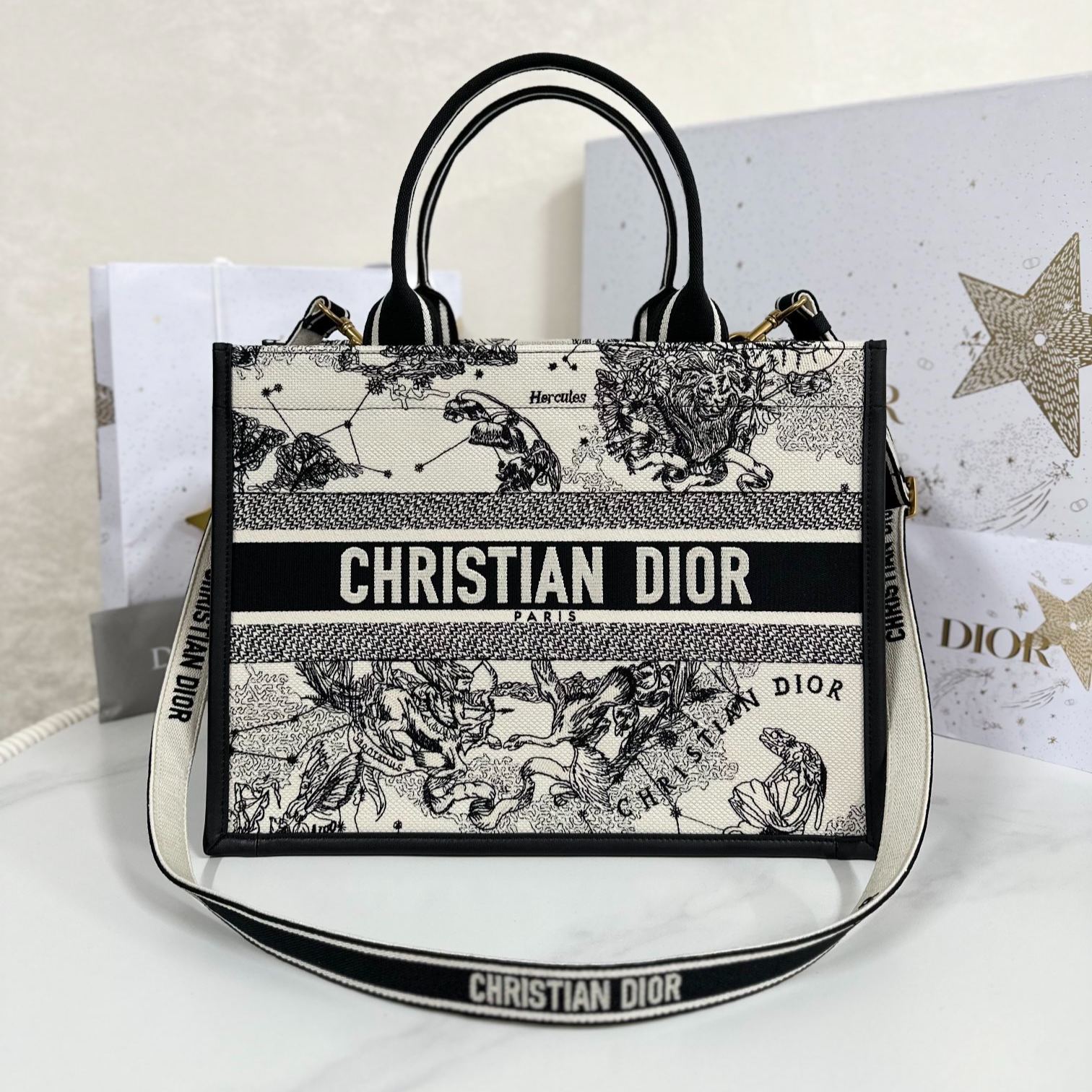 【N】Dior Book Tote Medium Tote Bag（M1324CETW_M06E）