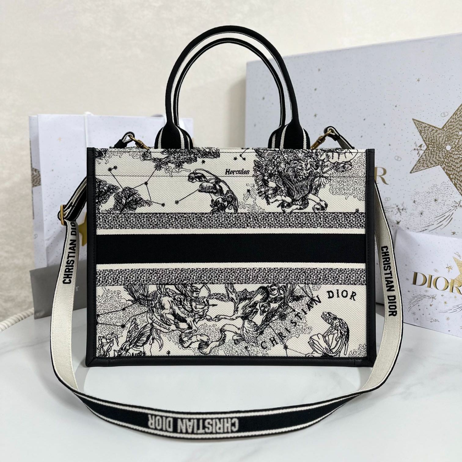 【N】Dior Book Tote Medium Tote Bag（M1324CETW_M06E）