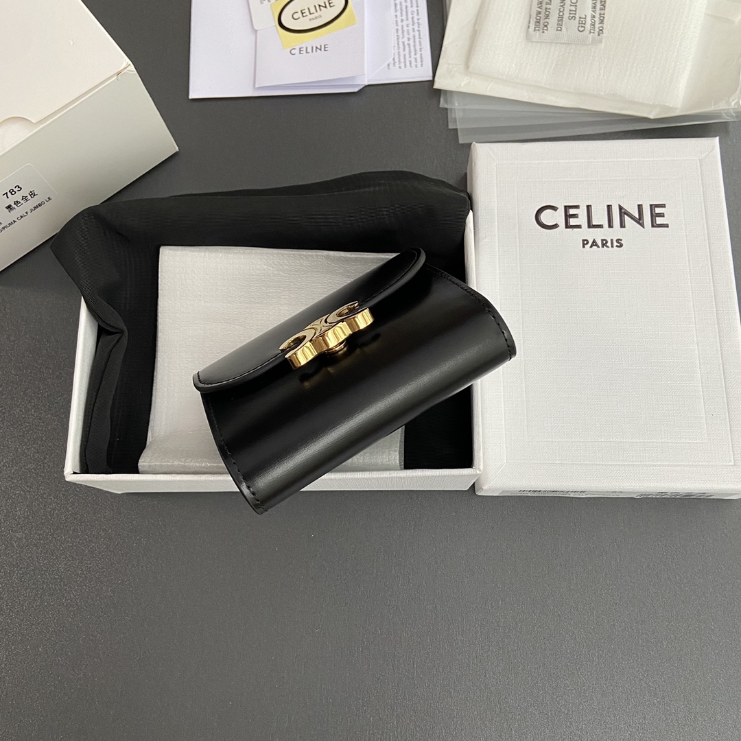 Celine Small Flap Wallet TRIOMPHE in Shiny calfskin(10D783DPV-38NO)