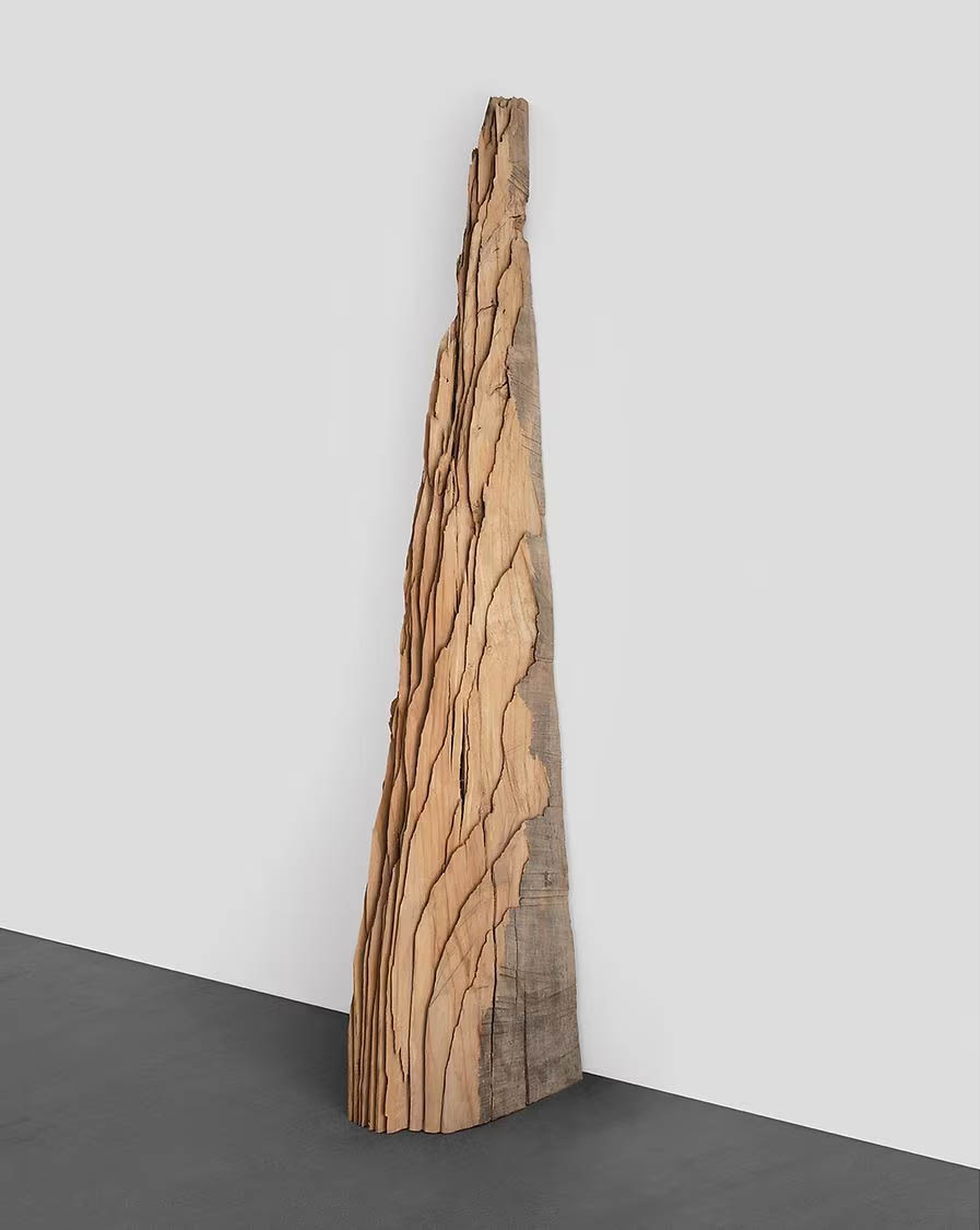 DAVID NASH LOS ANGELES RODEO DRIVE PARIS MONTAIGNE