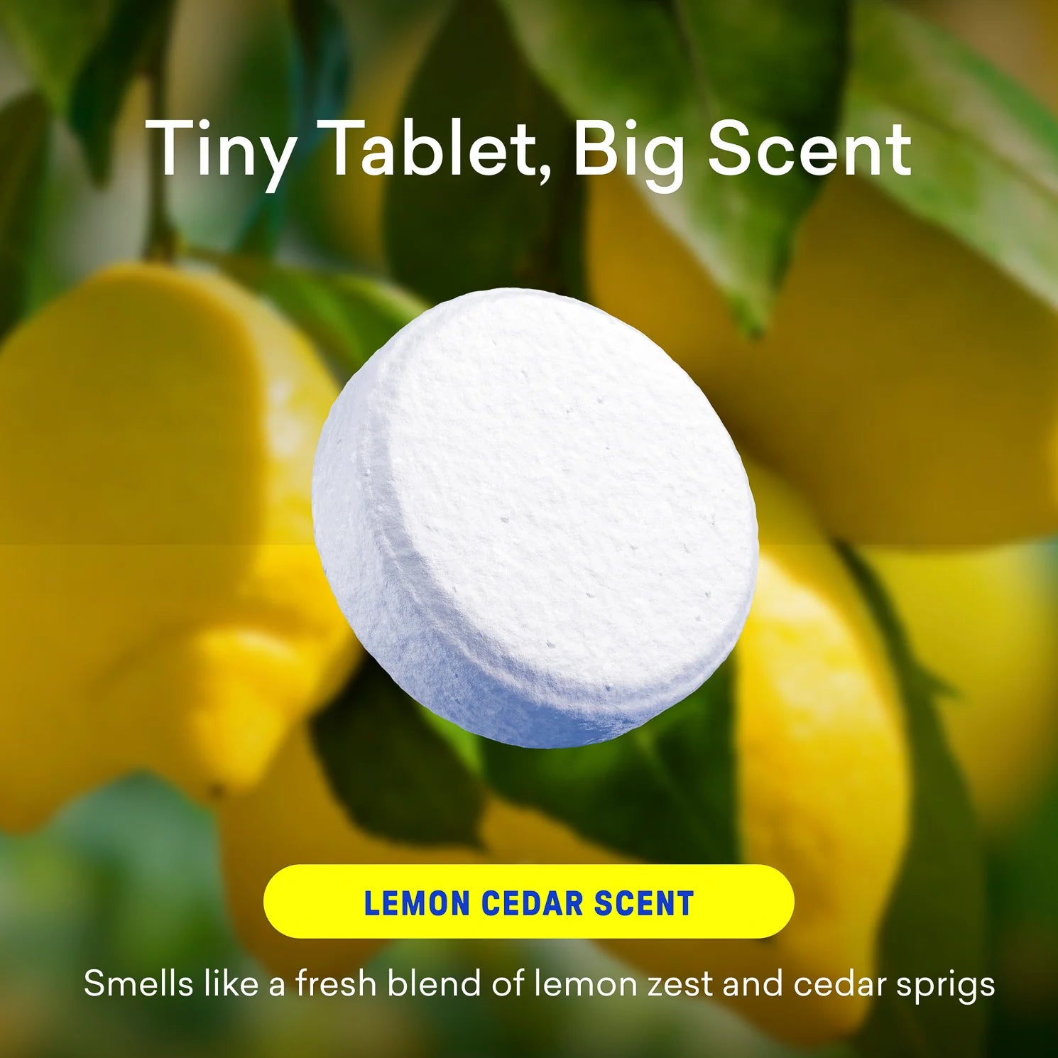 Toilet Bowl Cleaner Starter Set