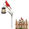 🐦 Cardinal Solar Light—A Beautiful Garden Light That Feels Full of Life