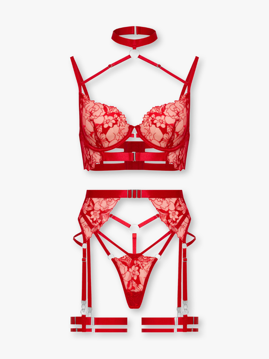 Lace and Lush Georgina Lingerie Set