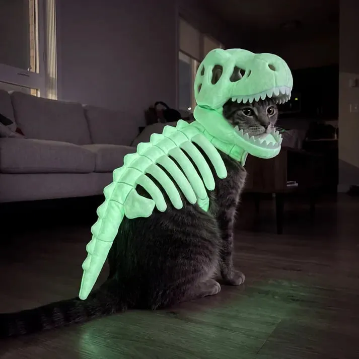 Glow-in-the-Dark Dinosaur Skeleton Pet Costume