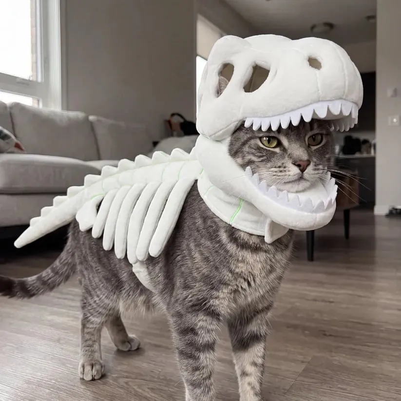 Glow-in-the-Dark Dinosaur Skeleton Pet Costume