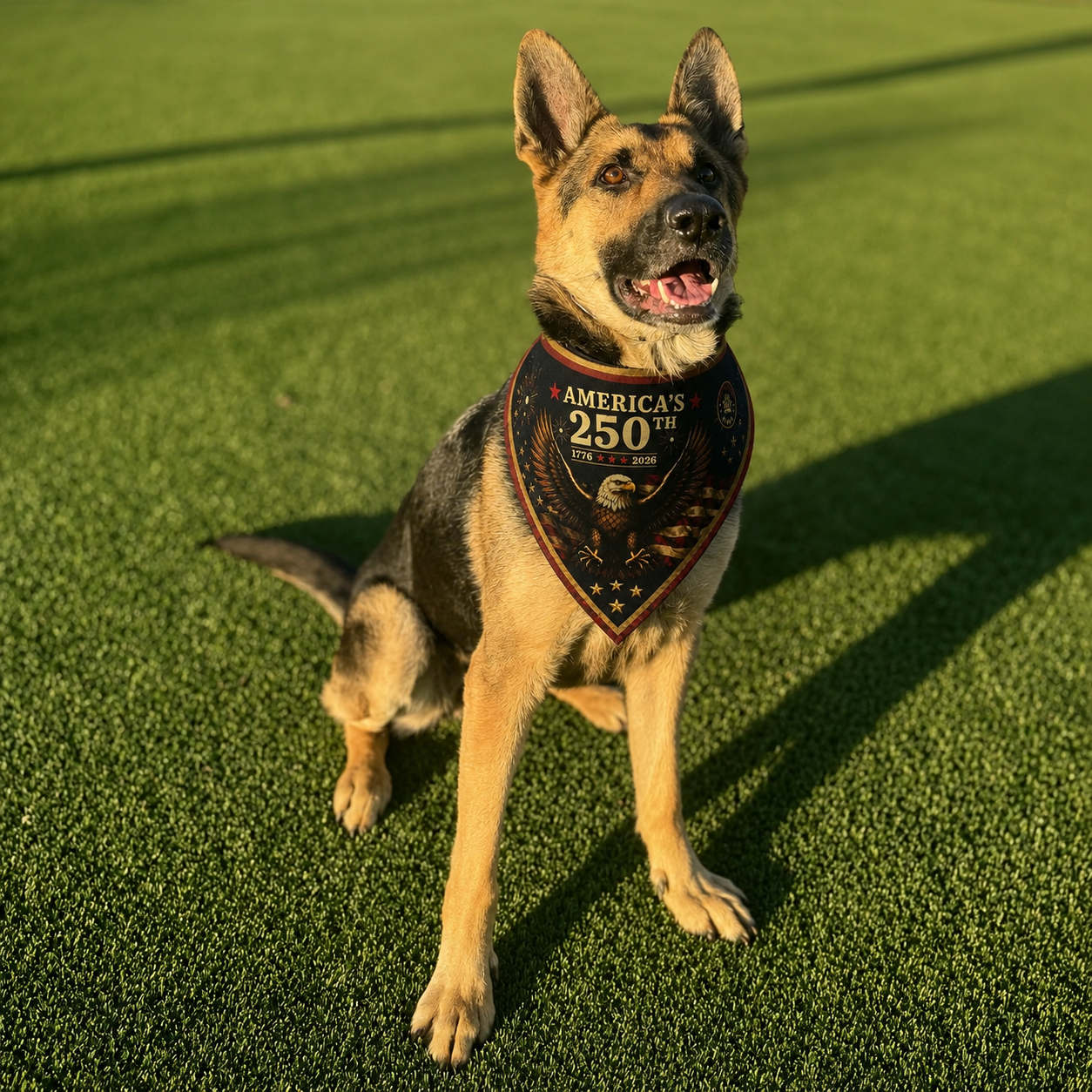 America's 250th Dog Bandana