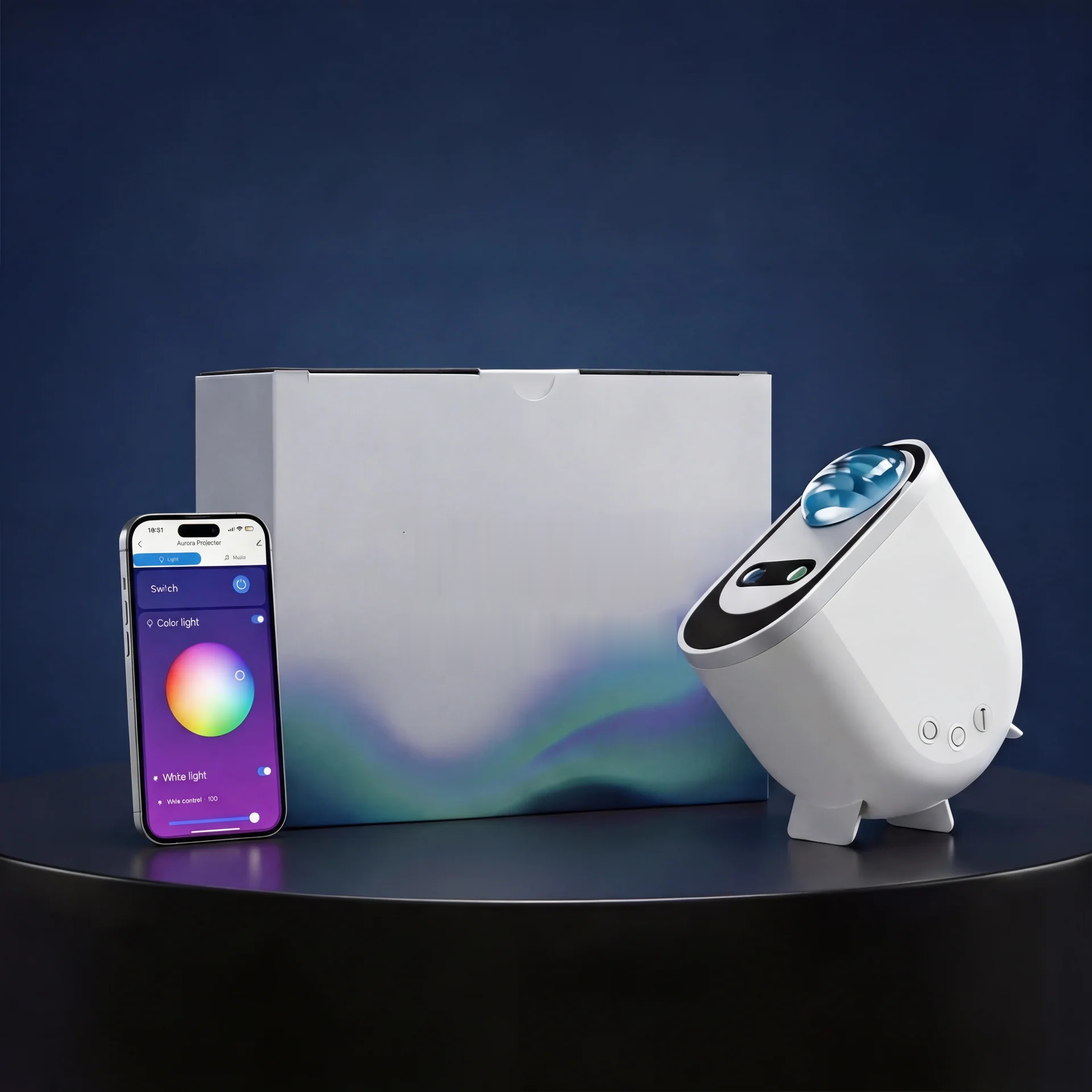 Charmette Projector