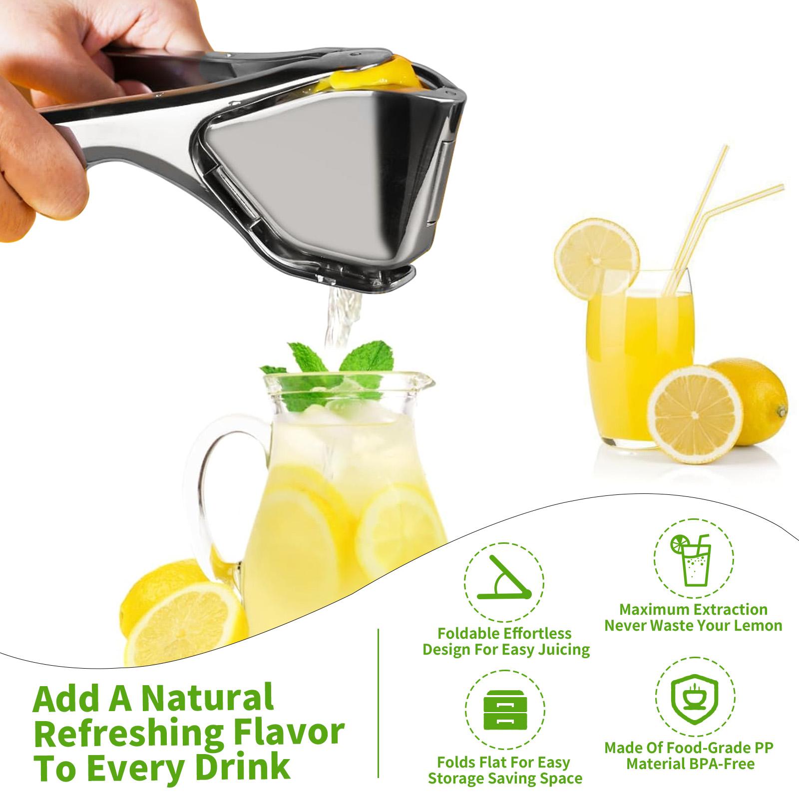 【AREL】Summerwins Stainless Steel Citrus Squeezer