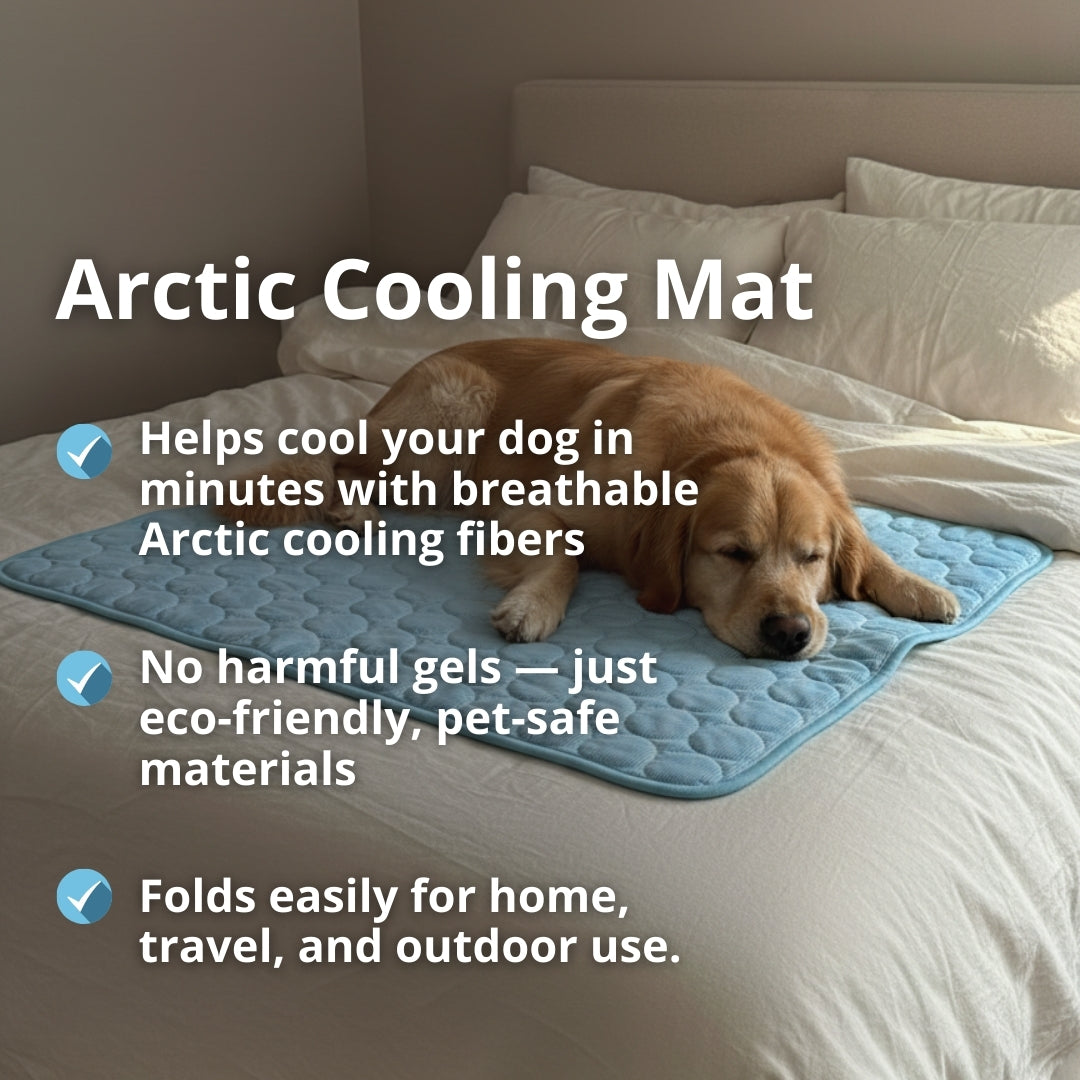 Cooling Dog Mat