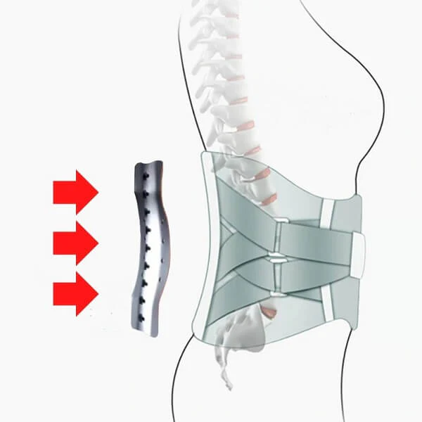 🔥Hot Sale - 49% OFF🔥 Meslisa - Orthopedic Support Belt with Magnets