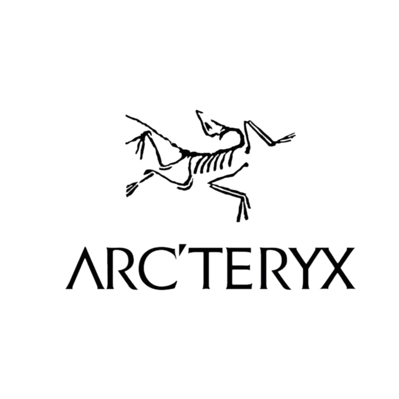 Arc'teryx