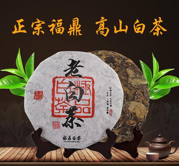 福鼎白茶