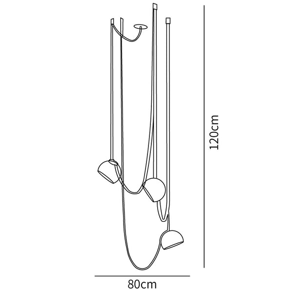  data-mce-src=