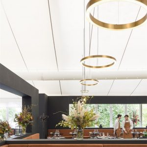 SELLECA Ring LED Pendant Light