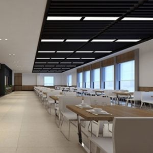 KOERT Rectangular Case Pendant Lamp