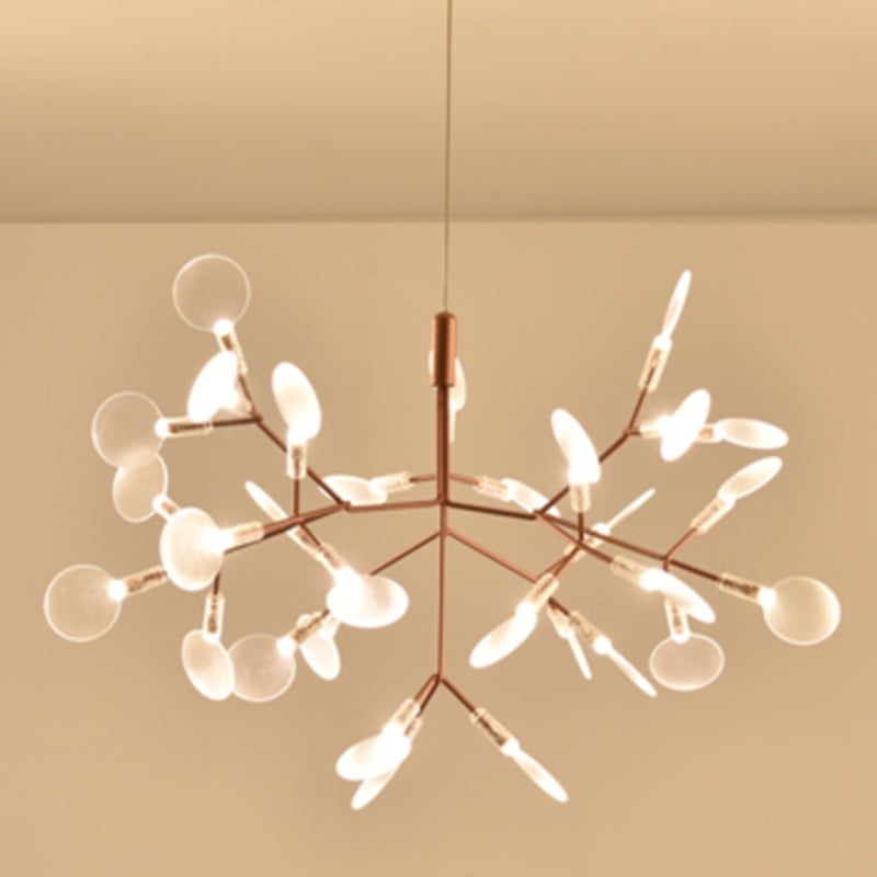 Heracleum Chandelier