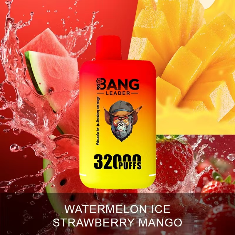 Bang Leader 32000｜デュアルフレーバー使い捨て電子タバコ